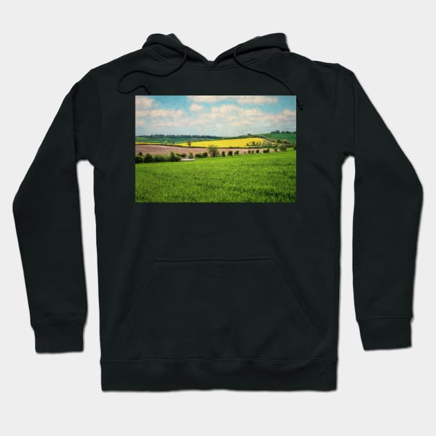 Berkshire Downs Farmland Hoodie by IanWL